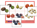 Лото &quot;Фрукты, ягоды, орехи&quot; (4 планшета, 24 карт., цвет., ламинир.)
