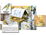 Магнитный плакат-аппликация &quot;Биоразнообразие и экологические группы. Птицы зимой&quot;
