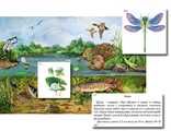 Магнитный плакат-аппликация &quot;Водоем: биоразнообразие и взаимосвязи в сообществе&quot;